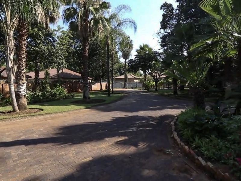 A well-maintained garden area featuring a paved driveway, mature palm trees, and established landscaping with brick boundary walls.
