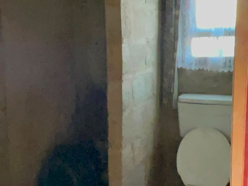 A bathroom in need of renovation, featuring a toilet and a shower area with unfinished masonry walls.
