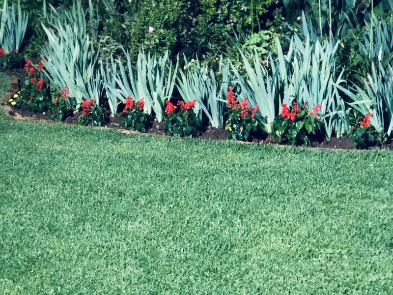 A well-maintained garden area featuring a lush green lawn and a landscaped flower bed against a brick boundary wall.