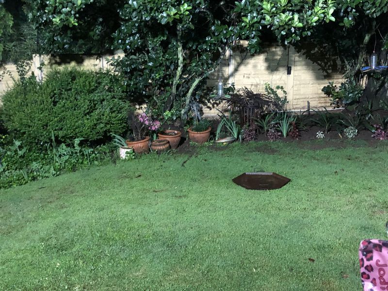 A private backyard garden area featuring a grass lawn and a perimeter boundary wall, shaded by mature trees.