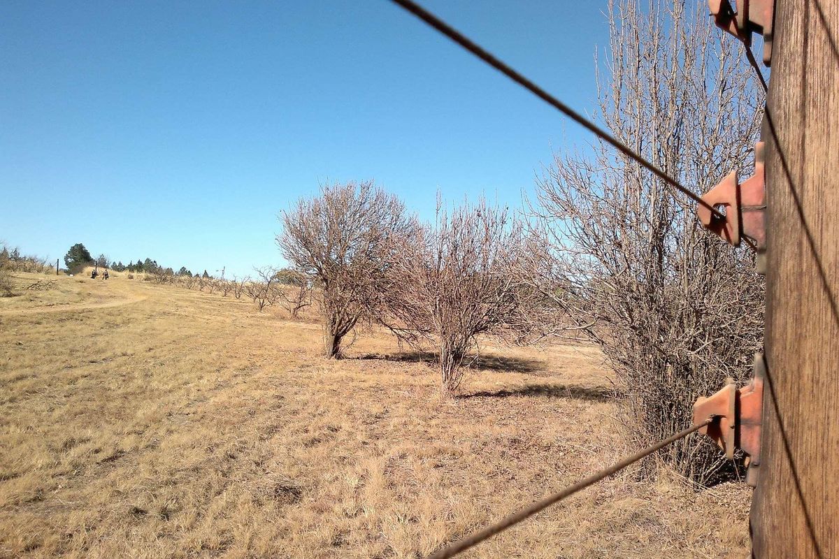 A view of the farm grounds featuring dry vegetation and perimeter electric fencing.