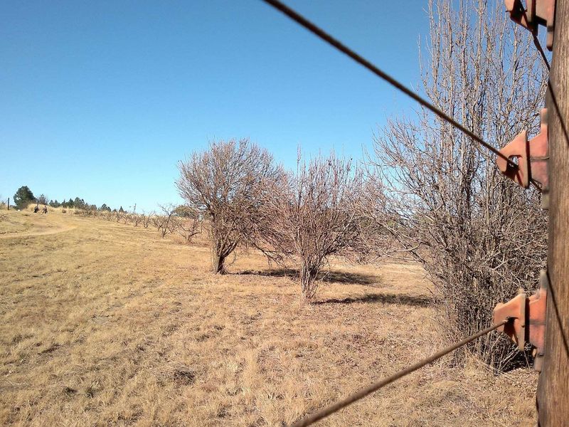 A view of the farm grounds featuring dry vegetation and perimeter electric fencing.