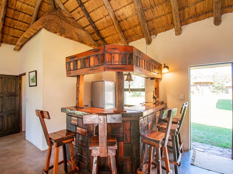 A rustic bar area featuring a custom built-in wooden counter, exposed thatched roofing with timber rafters, and direct access to the garden via sliding doors.