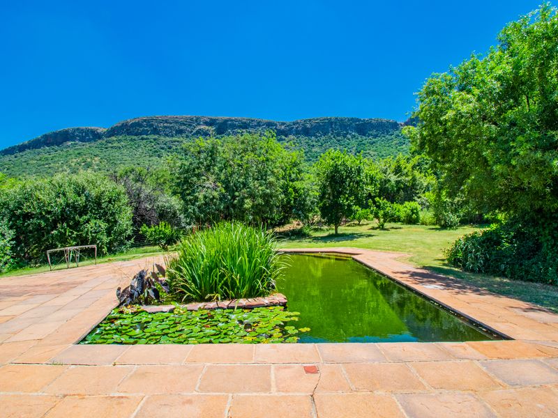A stone-paved patio area featuring a built-in pond, set within a lush garden with scenic mountain views in the background.