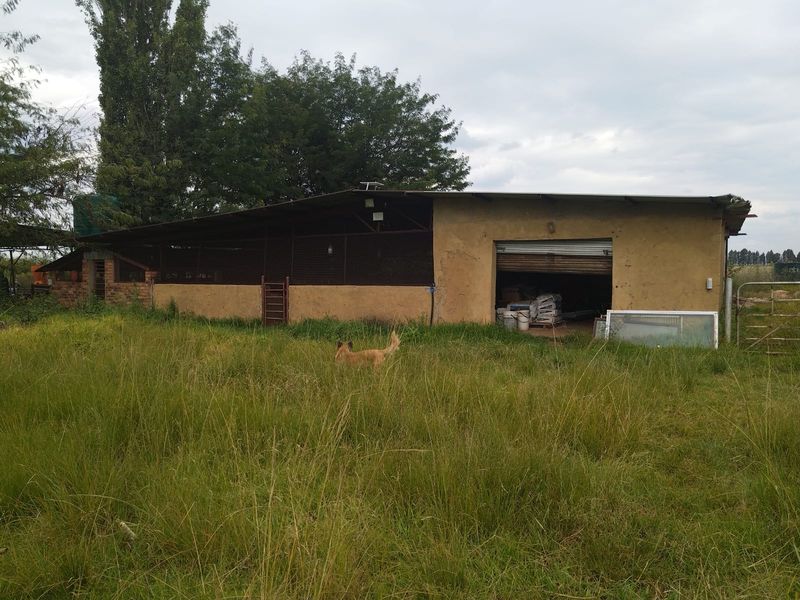 A rustic farm outbuilding featuring a large roller shutter door, metal roofing, and brick and masonry construction, set within an overgrown rural landscape.