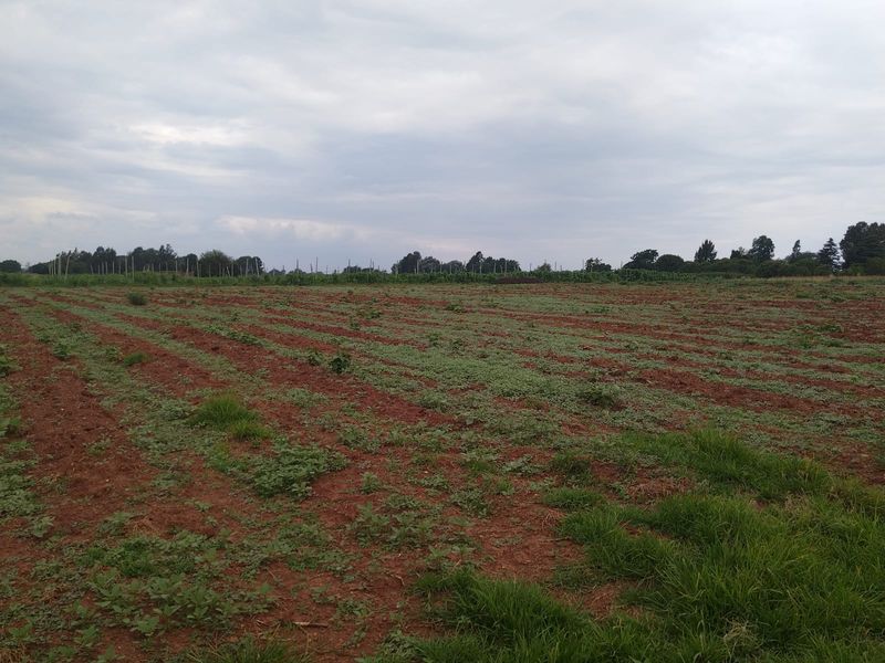 A wide-angle view of an open agricultural field with cultivated soil and natural vegetation under an overcast sky.