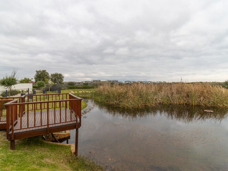 A raised wooden deck overlooking a natural pond and wetland area, providing a peaceful outdoor space.