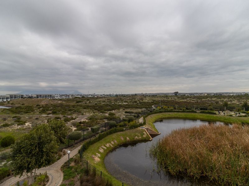 Elevated view overlooking a landscaped pond, walking paths, and natural coastal vegetation with distant urban development.