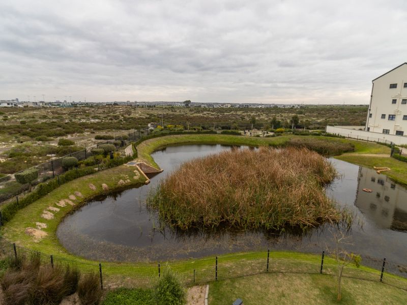 Elevated view overlooking a natural pond and landscaped wetland area within the estate grounds.