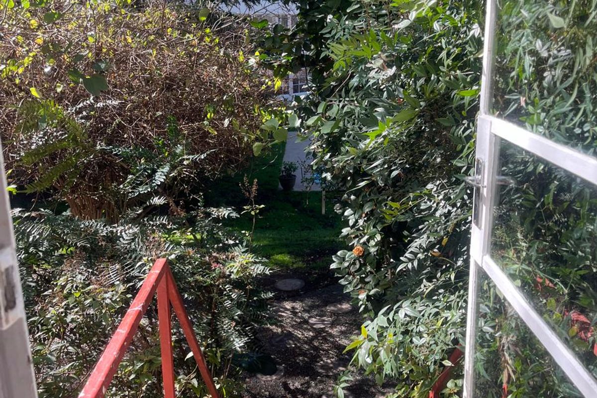 View from a doorway looking out onto a rear garden area via a metal staircase with visible wear and peeling paint.
