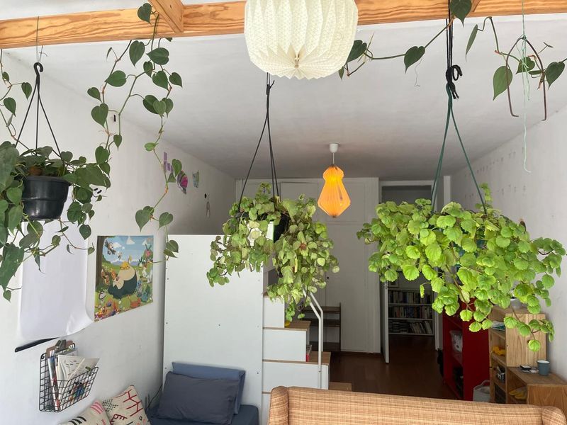 A bedroom featuring built-in wardrobe storage and hardwood flooring, currently styled with numerous hanging plants and personal decor.
