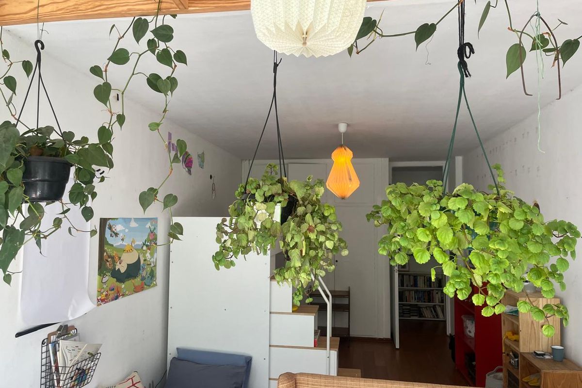 A bedroom featuring built-in wardrobe storage and hardwood flooring, currently styled with numerous hanging plants and personal decor.