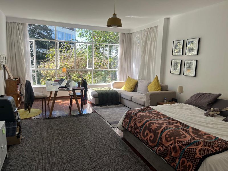 A bright open-plan living and sleeping area featuring large windows with natural light, hardwood flooring, and a functional layout.