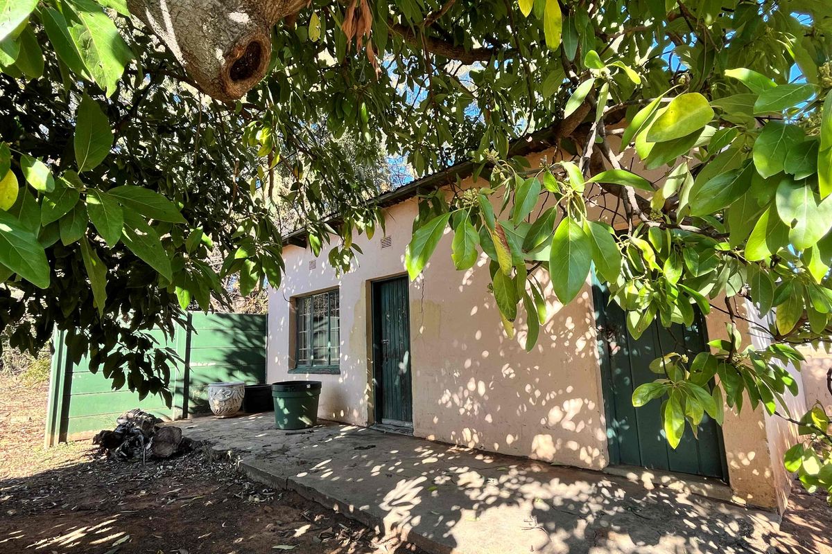 A rear exterior view of a small holding outbuilding featuring a concrete patio, mature tree canopy, and weathered exterior finishes.