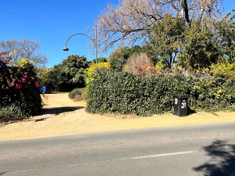 Street view of the property entrance featuring a gravel driveway, established hedging, and a street lamp.