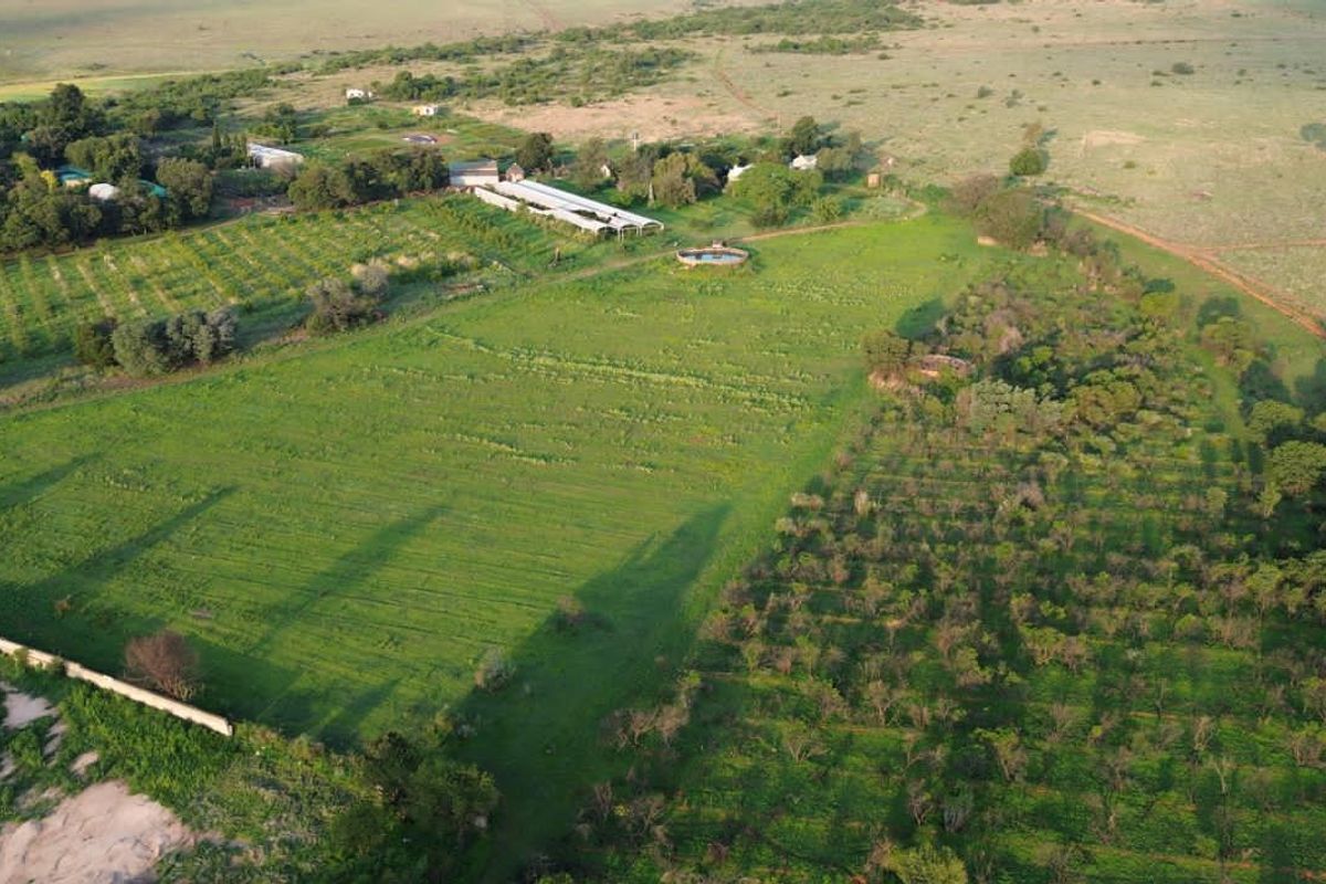 Aerial view of a large farm property featuring expansive fields, an orchard, outbuildings, and a swimming pool set within a rural landscape.