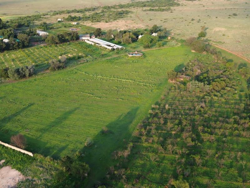Aerial view of a large farm property featuring expansive fields, an orchard, outbuildings, and a swimming pool set within a rural landscape.