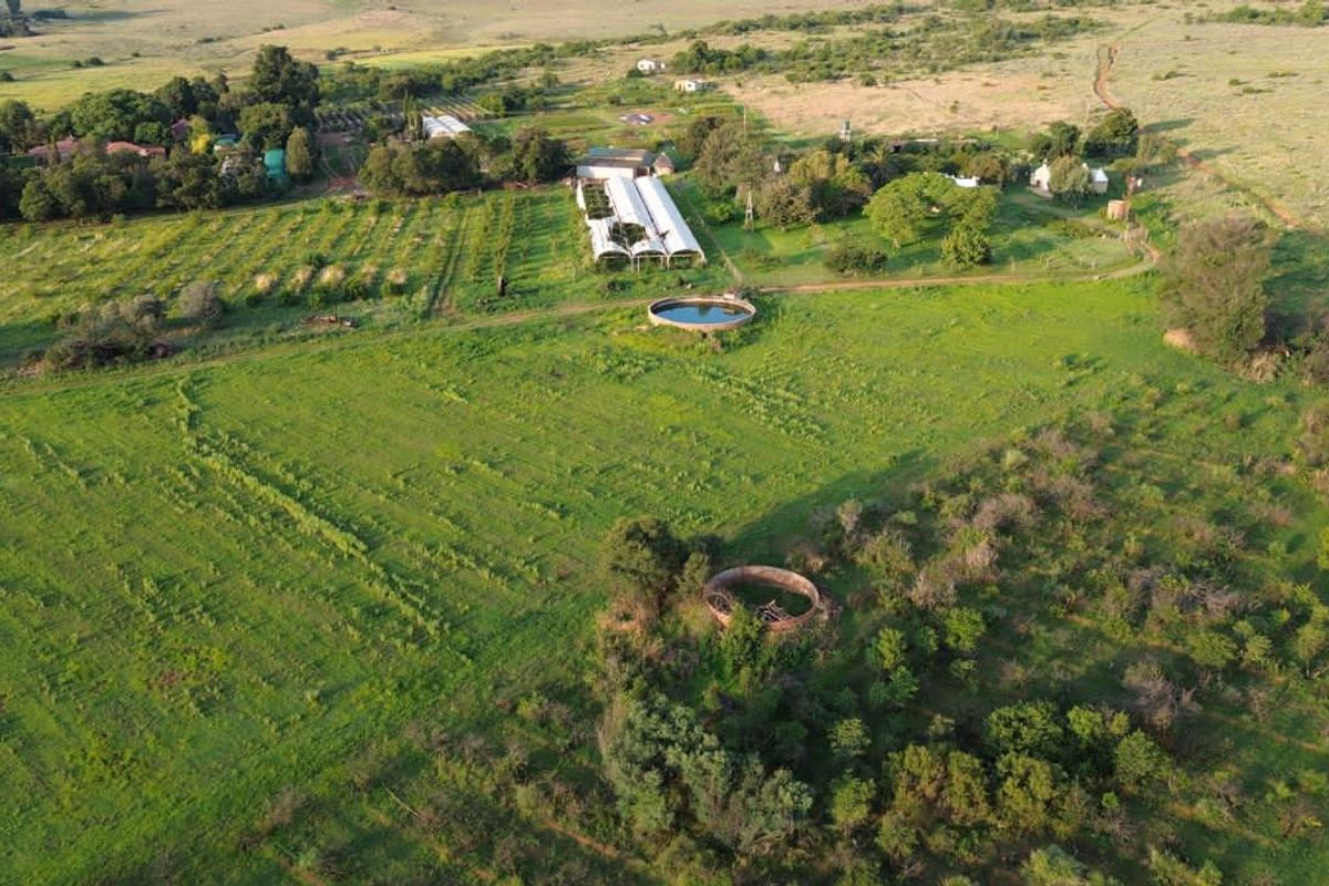 Aerial view of a farm property featuring multiple greenhouses, water reservoirs, and expansive grazing land.