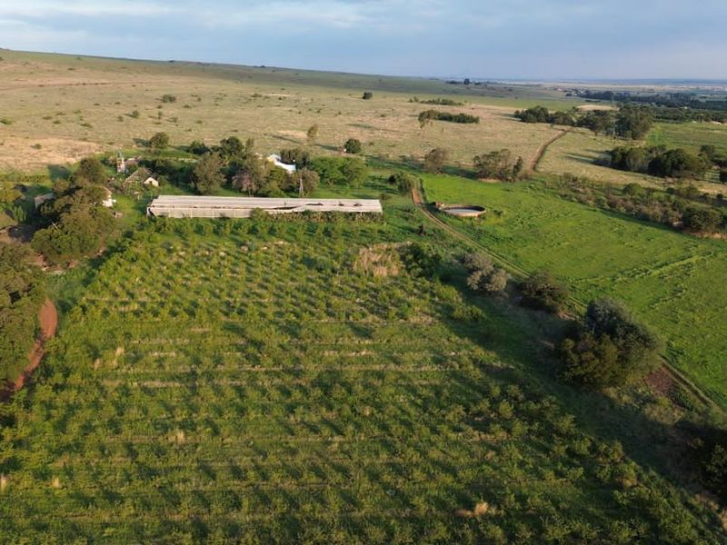Aerial view of a farm property featuring an established orchard, multiple farm buildings, and a water reservoir set within expansive grazing land.