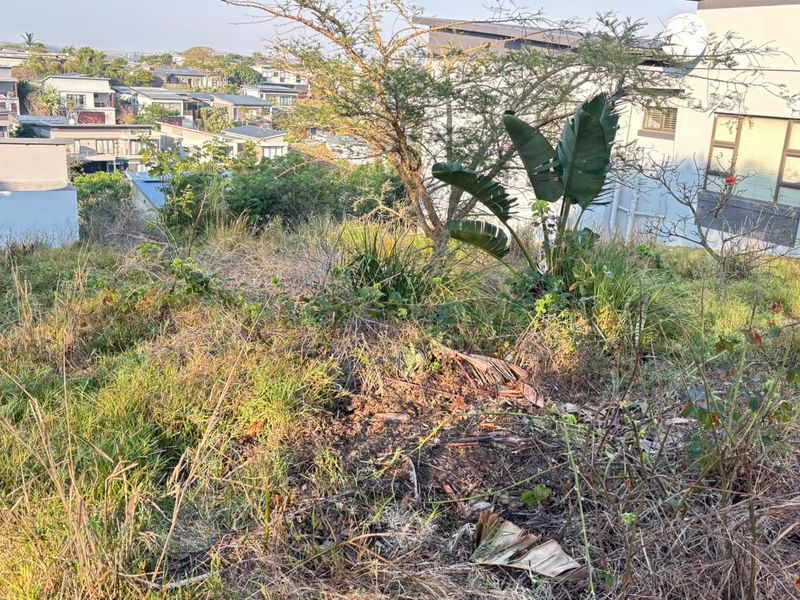 A view of the sloped residential vacant land featuring established vegetation and surrounding neighborhood properties.