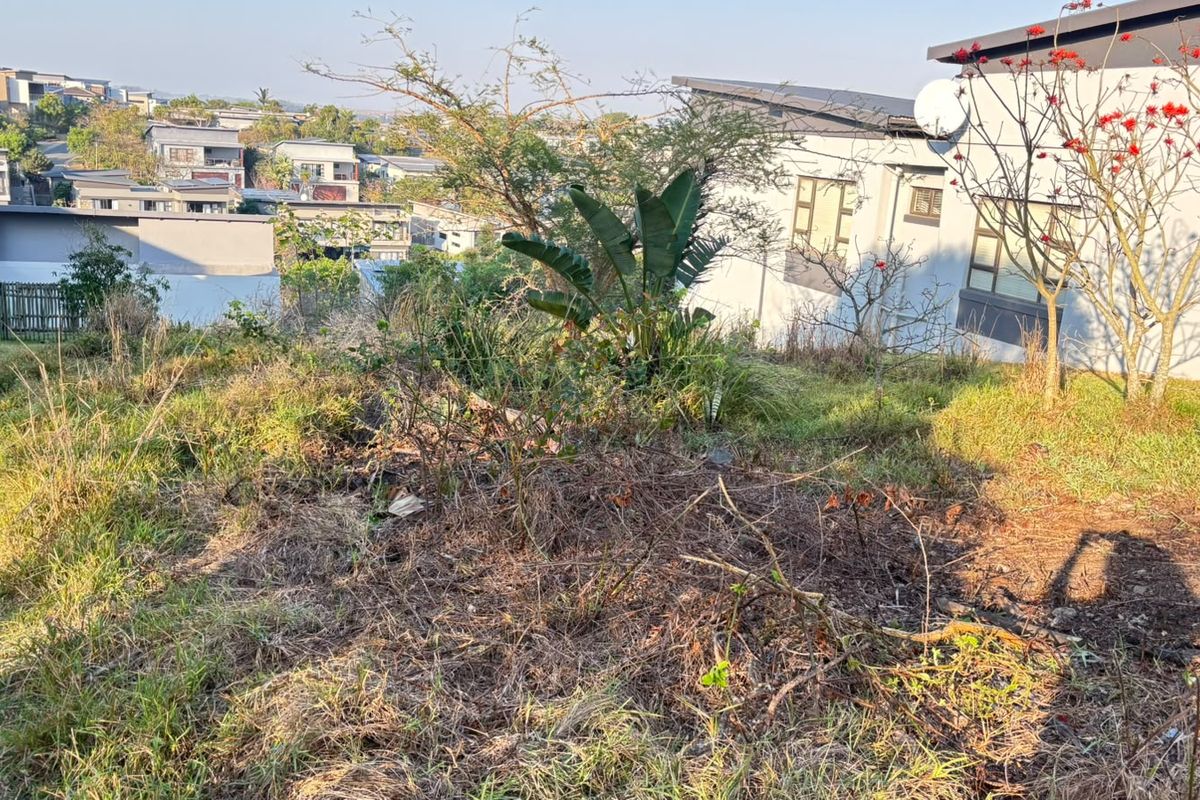A view of the sloped rear section of the vacant residential plot, showing existing vegetation and proximity to neighboring properties.