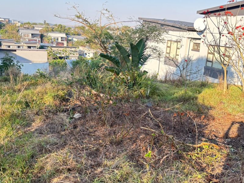 A view of the sloped rear section of the vacant residential plot, showing existing vegetation and proximity to neighboring properties.