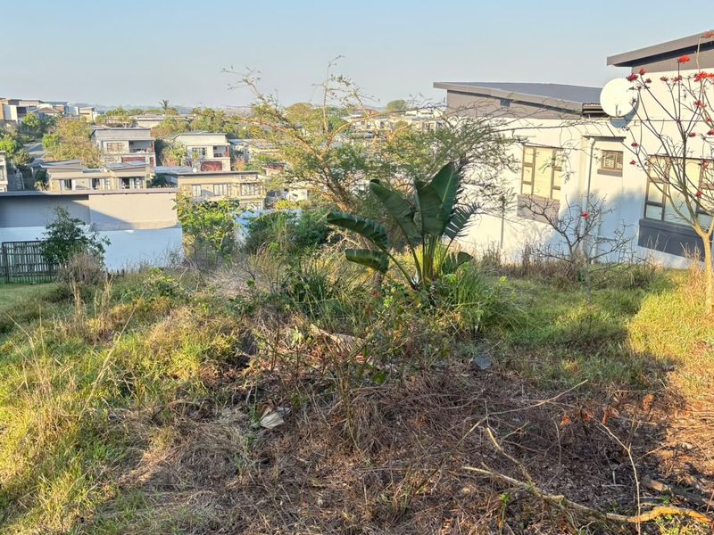 A view of the sloped residential land plot, showcasing the surrounding neighborhood and established vegetation on the property.