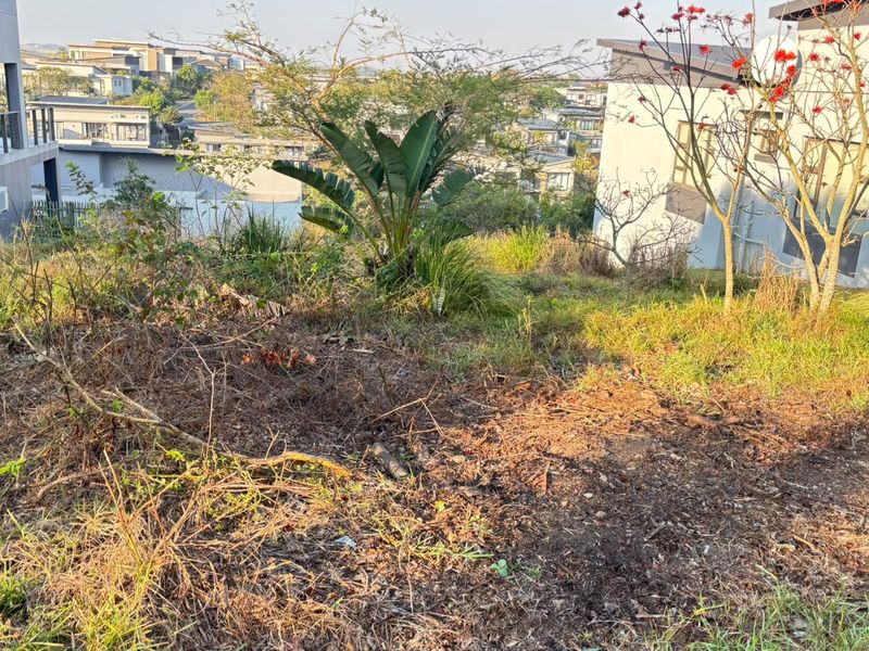 A sloped residential plot of vacant land situated between existing modern homes, featuring natural vegetation and an incline.