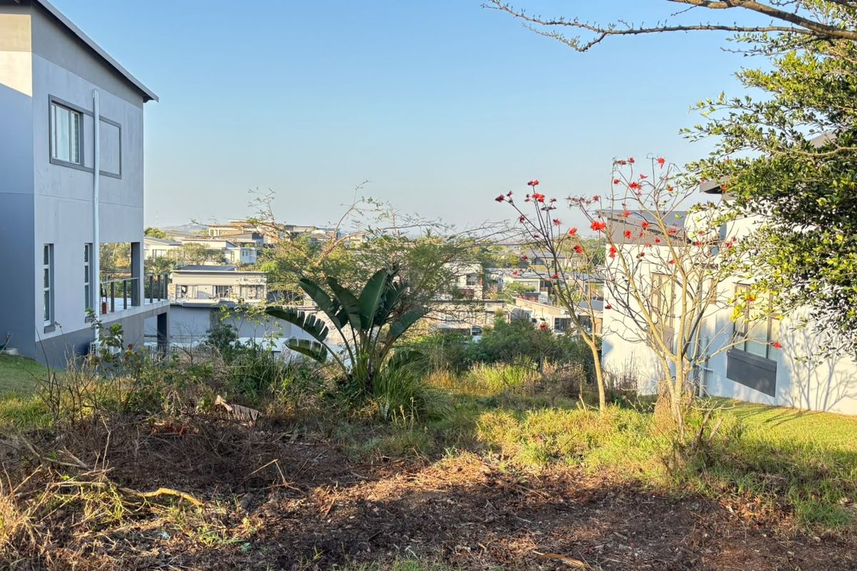 A view overlooking a residential neighborhood from a vacant residential plot, featuring established trees and surrounding modern homes.