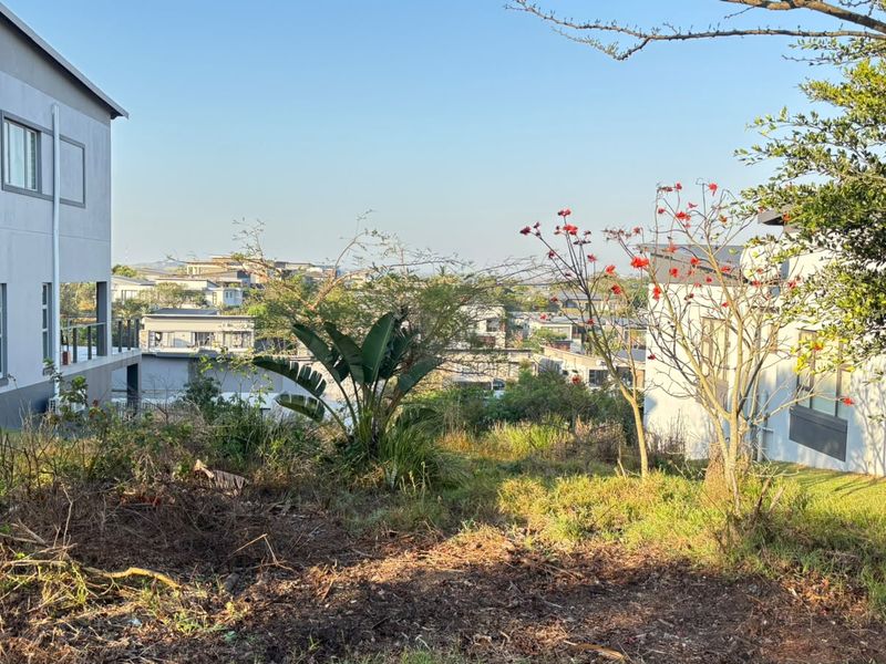 A view overlooking a residential neighborhood from a vacant residential plot, featuring established trees and surrounding modern homes.