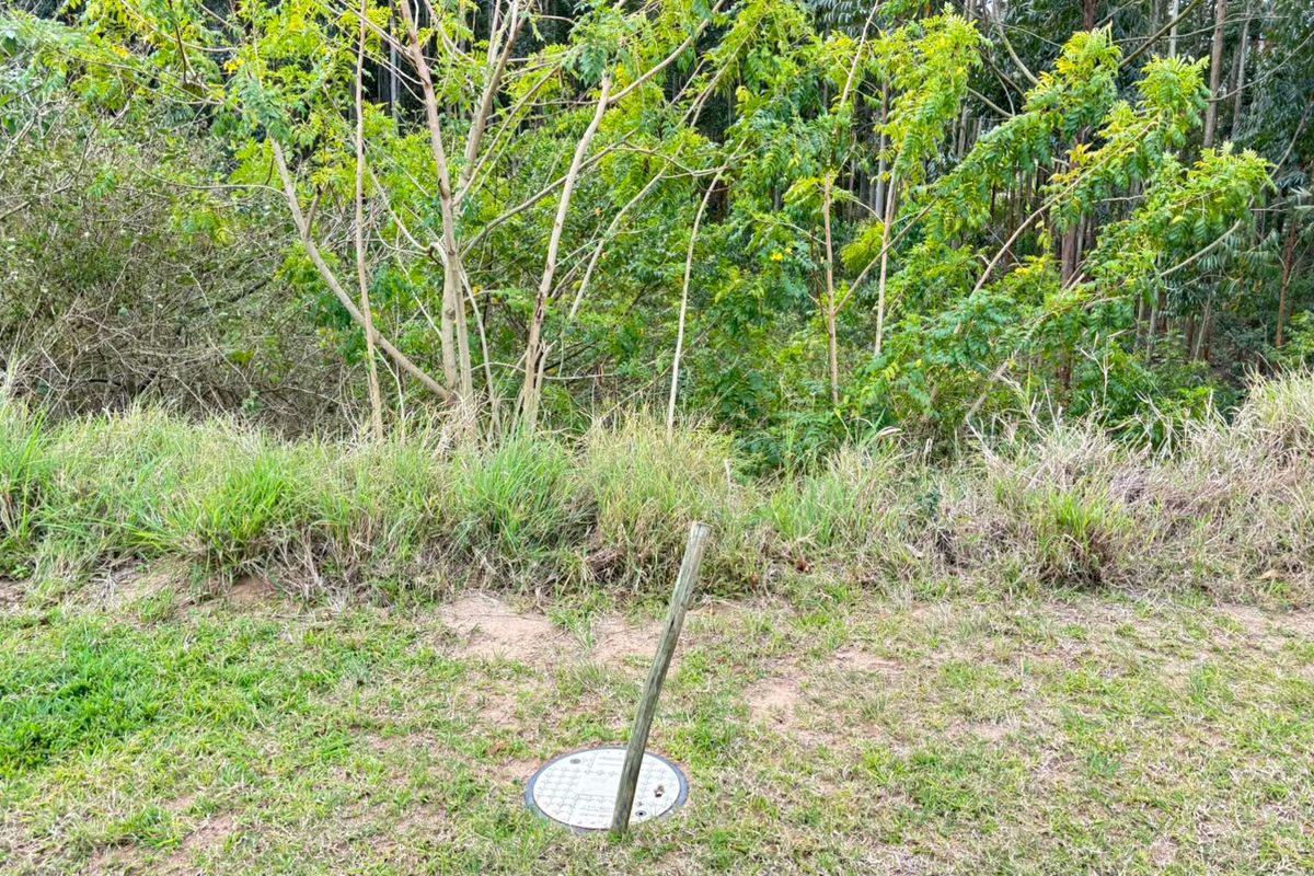 A view of the vacant residential land featuring natural vegetation, a survey marker, and a utility access cover.