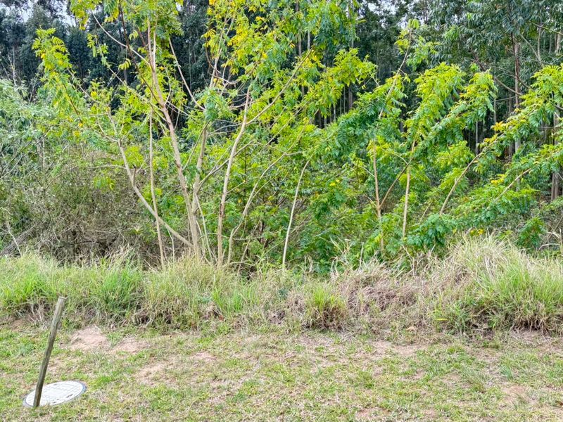 A view of the vacant residential land featuring natural vegetation, grass, and visible utility access points on the property grounds.
