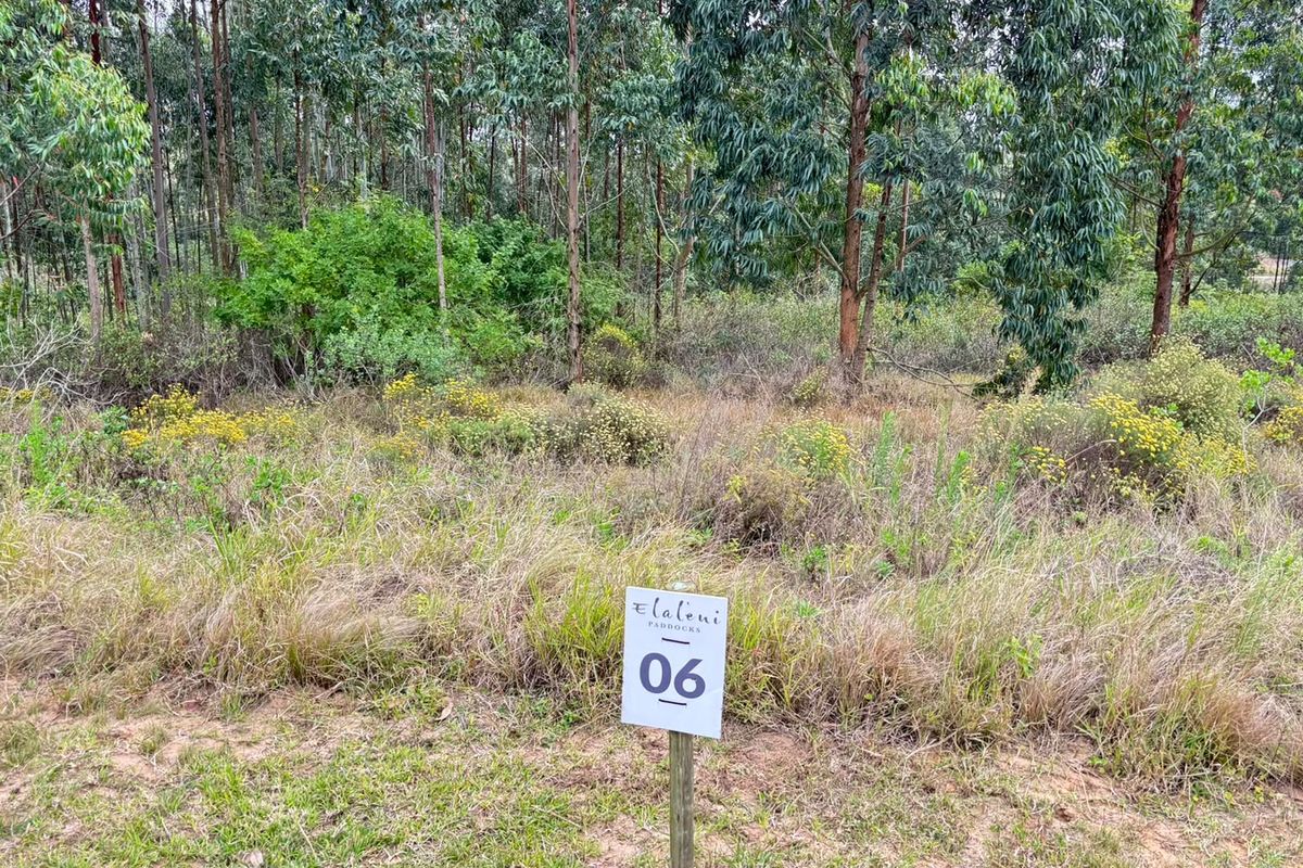 A vacant residential plot featuring natural vegetation and mature trees, marked with a property identification sign.