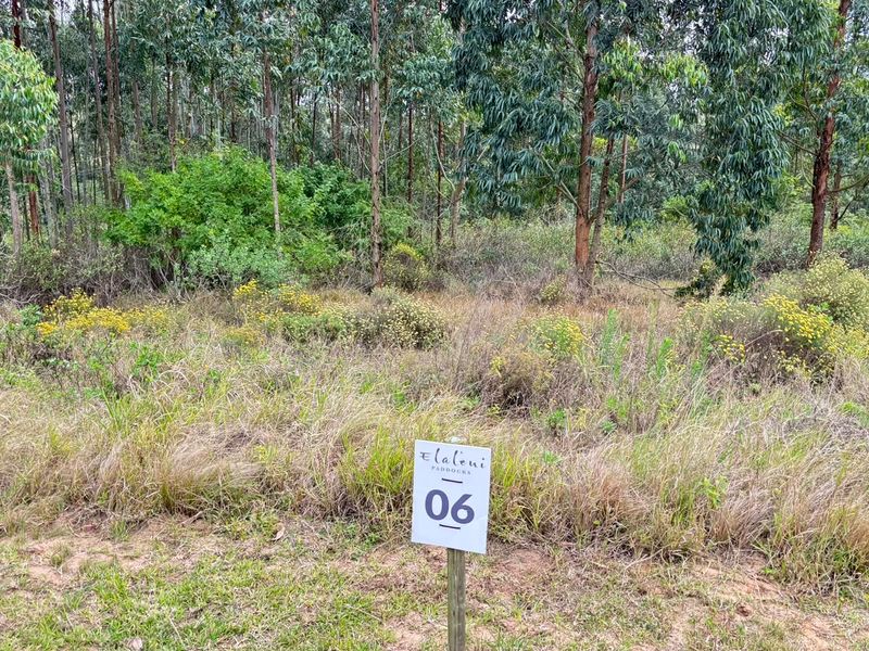 A vacant residential plot featuring natural vegetation and mature trees, marked with a property identification sign.