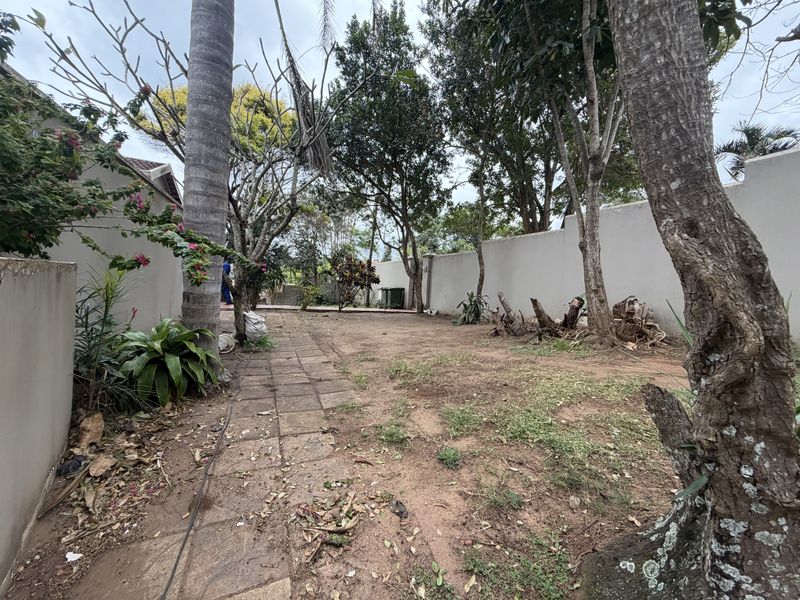 A private rear garden area featuring a paved walkway, mature trees, and boundary walls, currently requiring landscaping and lawn maintenance.