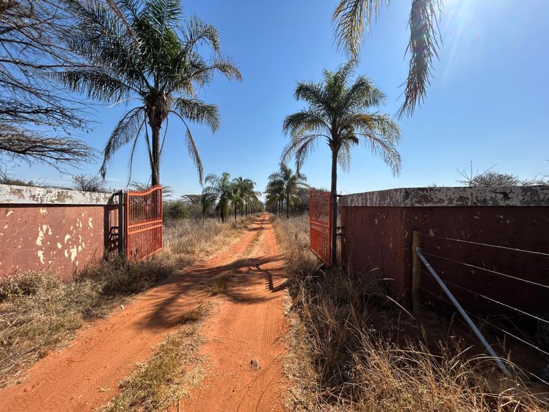 A dirt driveway entrance to the farm property featuring a metal gate and masonry boundary walls lined with palm trees.