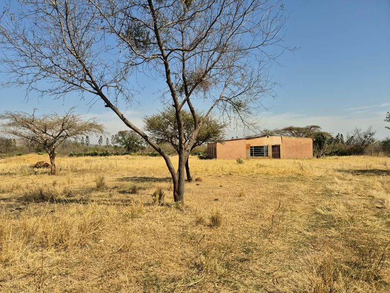 A view of a single-story farm building set within a large, dry, open field with mature trees.