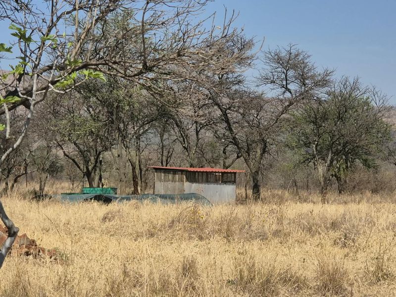 A rural farm landscape featuring a small metal storage shed and water tanks surrounded by dry trees and natural vegetation.