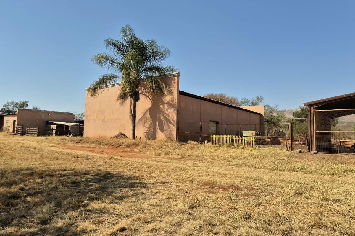 Rear view of a farm building featuring concrete walls, perimeter fencing, and a large palm tree on the property grounds.