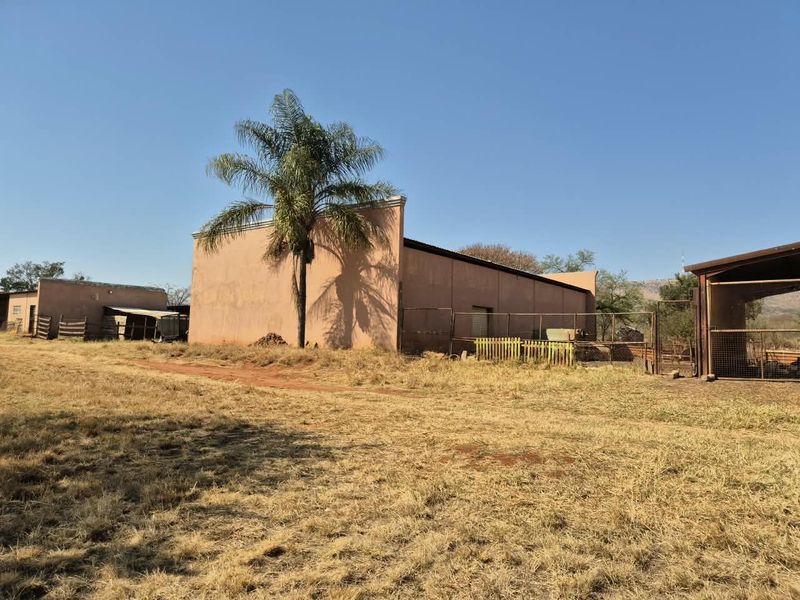 Rear view of a farm building featuring concrete walls, perimeter fencing, and a large palm tree on the property grounds.