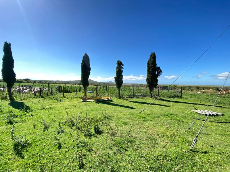 Expansive farm garden area featuring wire fencing, mature cypress trees, and open green space with distant landscape views.