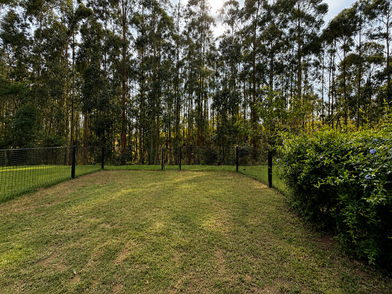 A well-maintained garden area featuring a manicured lawn, enclosed by wire mesh fencing and a metal gate, backed by a dense forest backdrop.