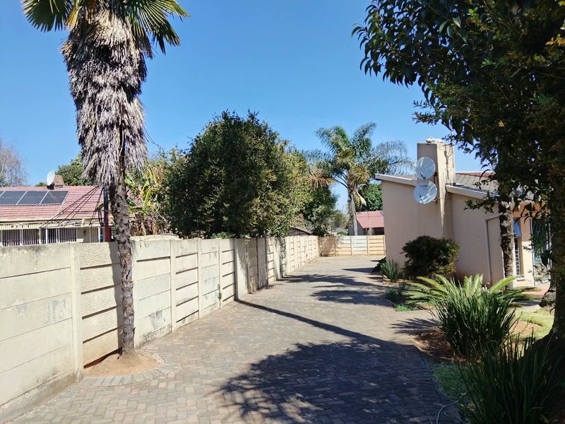 A paved driveway leading along the side of the house, featuring a precast concrete boundary wall and established garden landscaping.