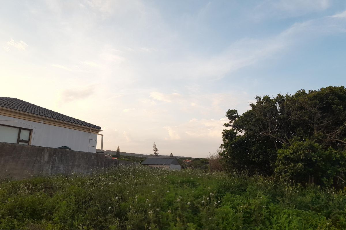A view of the vacant residential land featuring a boundary wall and established vegetation, showing the surrounding neighborhood context.