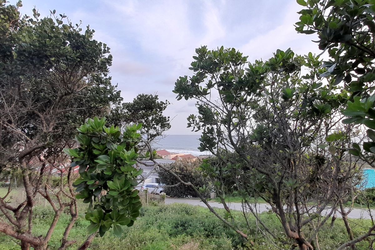 A view of the coastal landscape and surrounding neighborhood seen through mature trees on the vacant residential property.