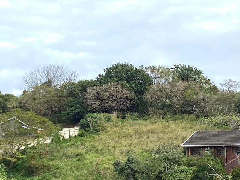 A view of the sloped, undeveloped residential land featuring mature trees and natural vegetation.