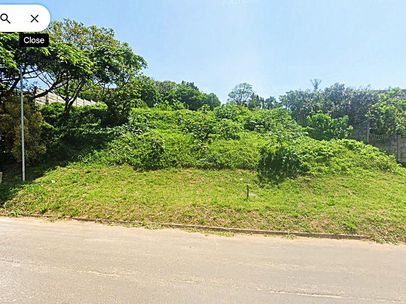 A sloped residential vacant land plot featuring mature trees and established vegetation, with direct access from the paved street.
