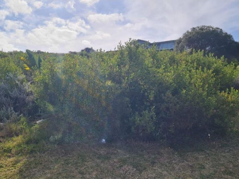 A view of the residential vacant land featuring established native vegetation and shrubs across the plot.
