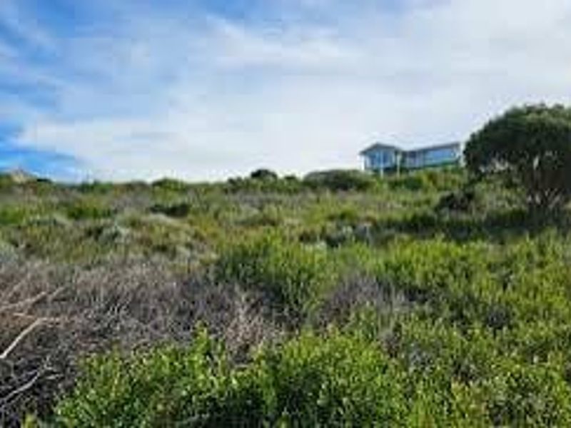 A view of a sloped residential vacant land plot featuring native vegetation and surrounding landscape.