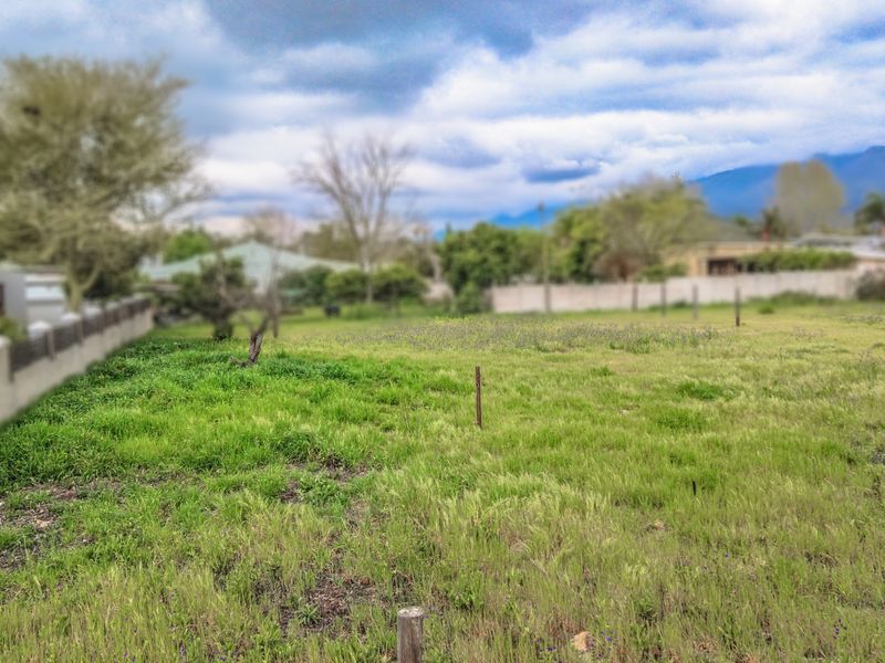 A vacant residential plot featuring open grassed land, perimeter boundary walls, and established trees in a quiet neighborhood setting.